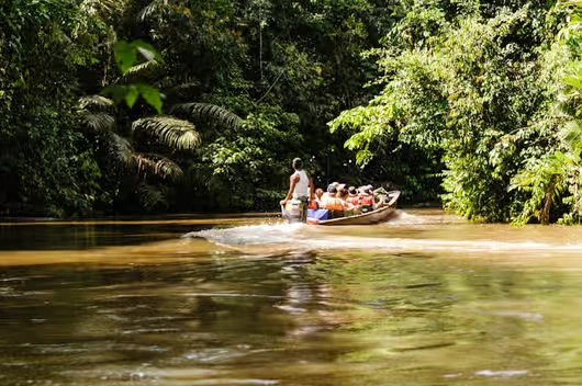 Attraction 2 in Amazon Rainforest — GoAtlas