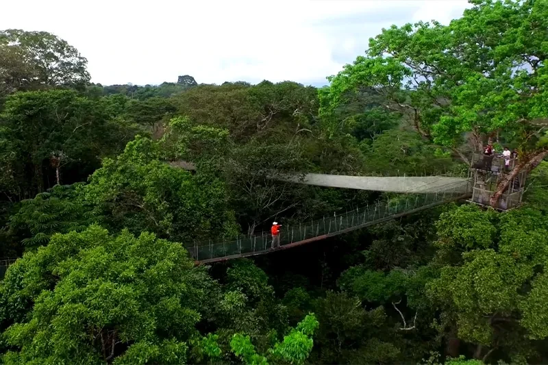 Attraction 3 in Amazon Rainforest — GoAtlas