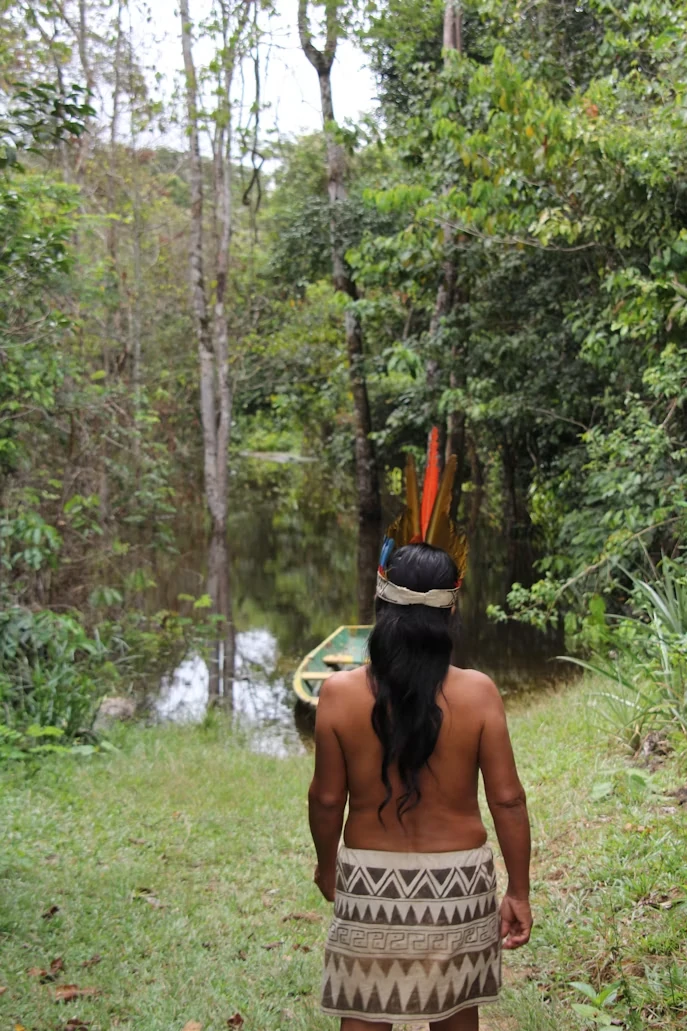 Gem 2 in Amazon Rainforest — GoAtlas