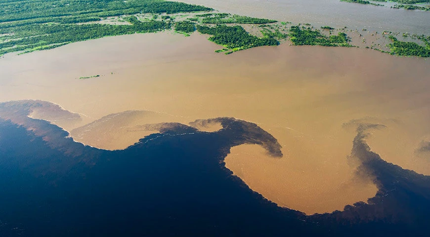 Photo 1 in Amazon Rainforest — GoAtlas