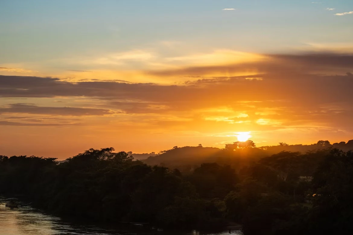 Photo 2 in Amazon Rainforest — GoAtlas