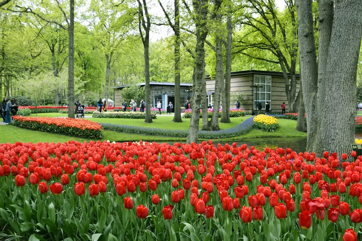 Gem 2 in Amsterdam — GoAtlas