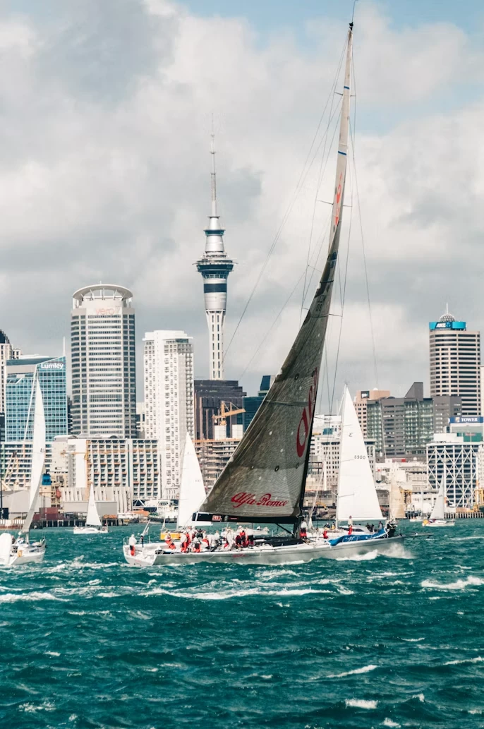 Photo 1 in Auckland — GoAtlas