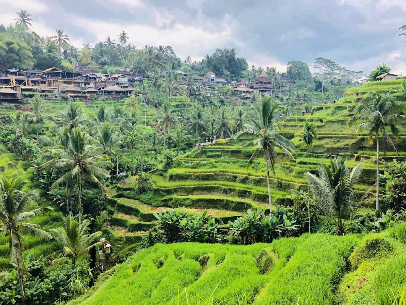 Attraction 1 in Bali — GoAtlas