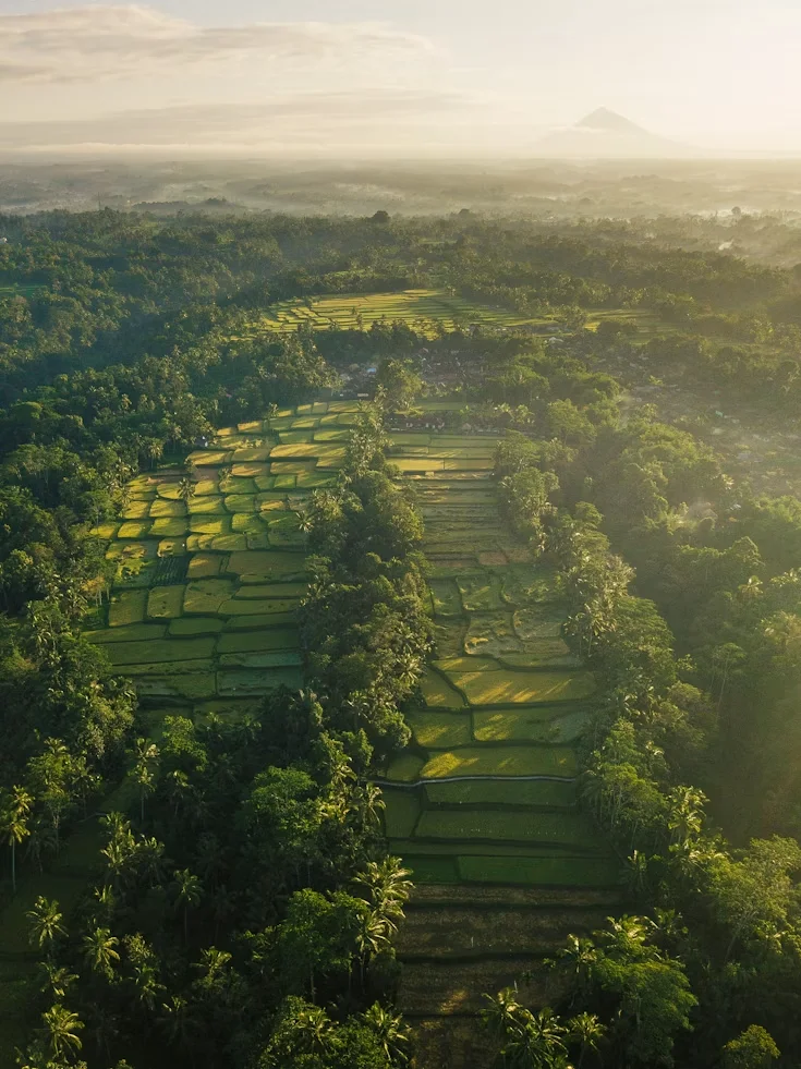 Photo 3 in Bali — GoAtlas