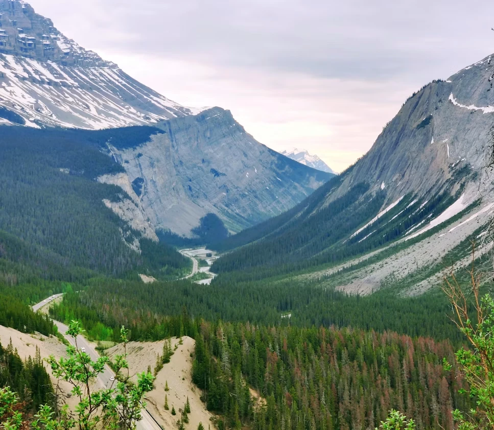 Photo 3 in Banff — GoAtlas