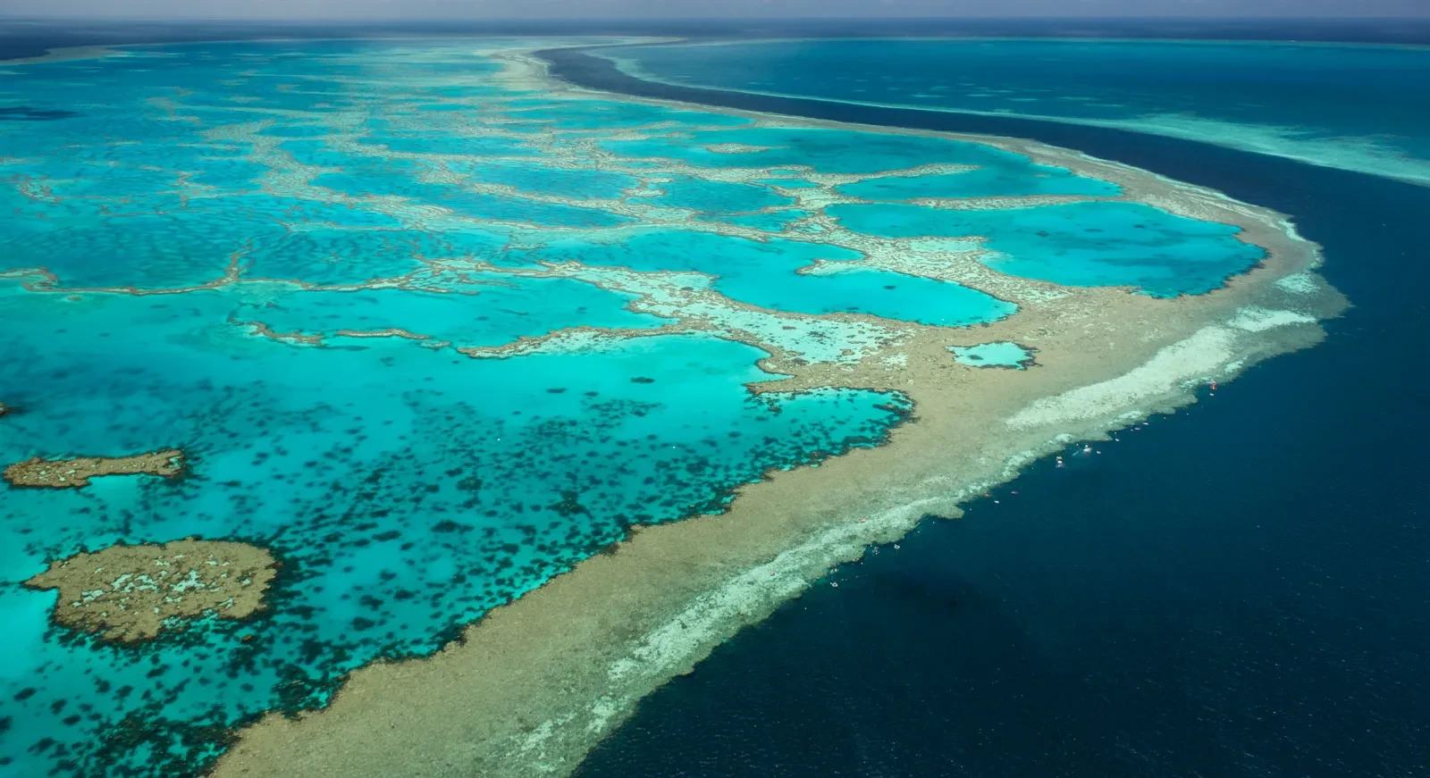 Diver over coral on the Great Barrier Reef
