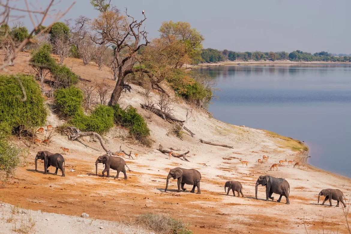 Attraction 2 in Botswana — GoAtlas