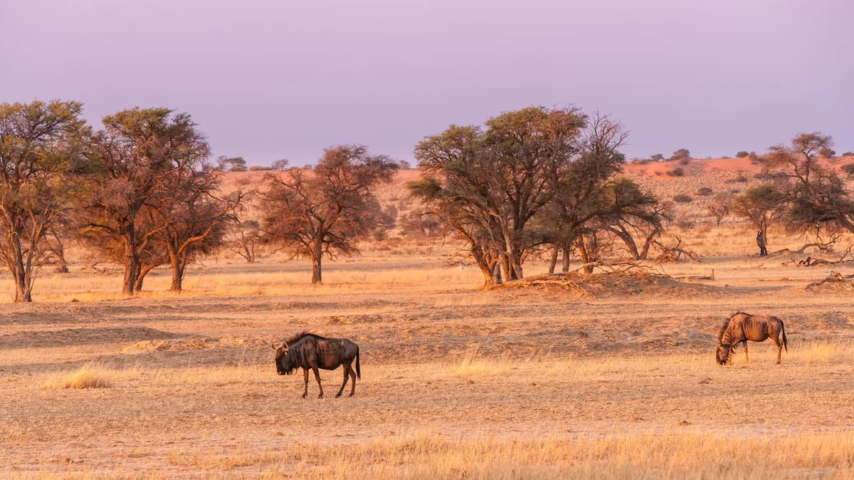 Attraction 3 in Botswana — GoAtlas