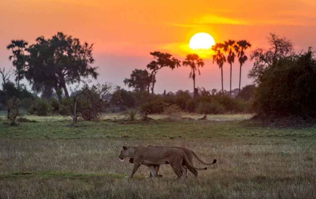 Gem 1 in Botswana — GoAtlas