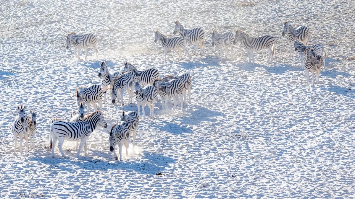 Gem 2 in Botswana — GoAtlas