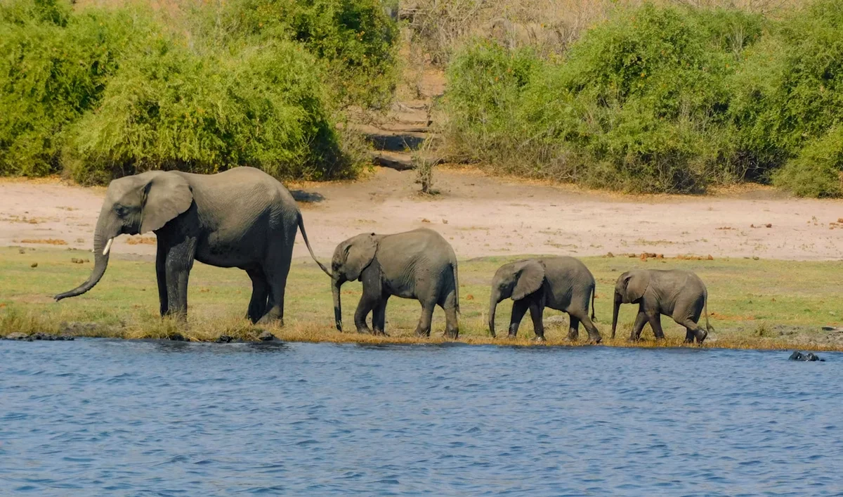 Photo 2 in Botswana — GoAtlas
