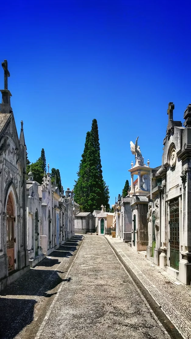 Attraction 1 in Buenos Aires — GoAtlas