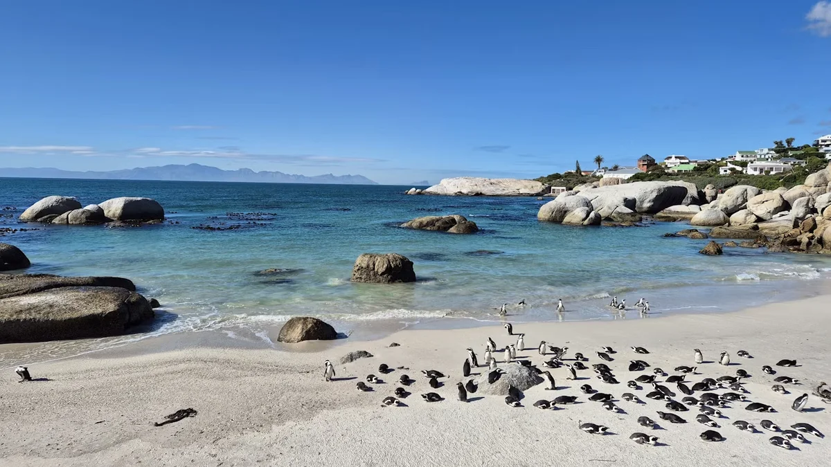 Gem 1 in Capetown — GoAtlas