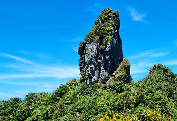 Attraction 2 in Cook Islands — GoAtlas
