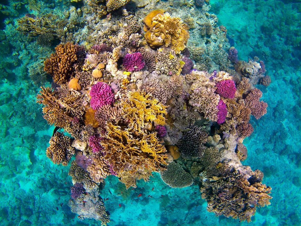 Photo 3 in Egypt — GoAtlas