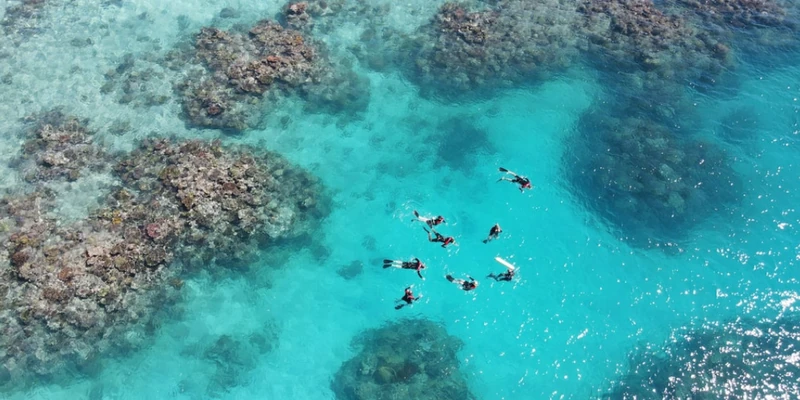 Attraction 1 in Great Barrier Reef — GoAtlas