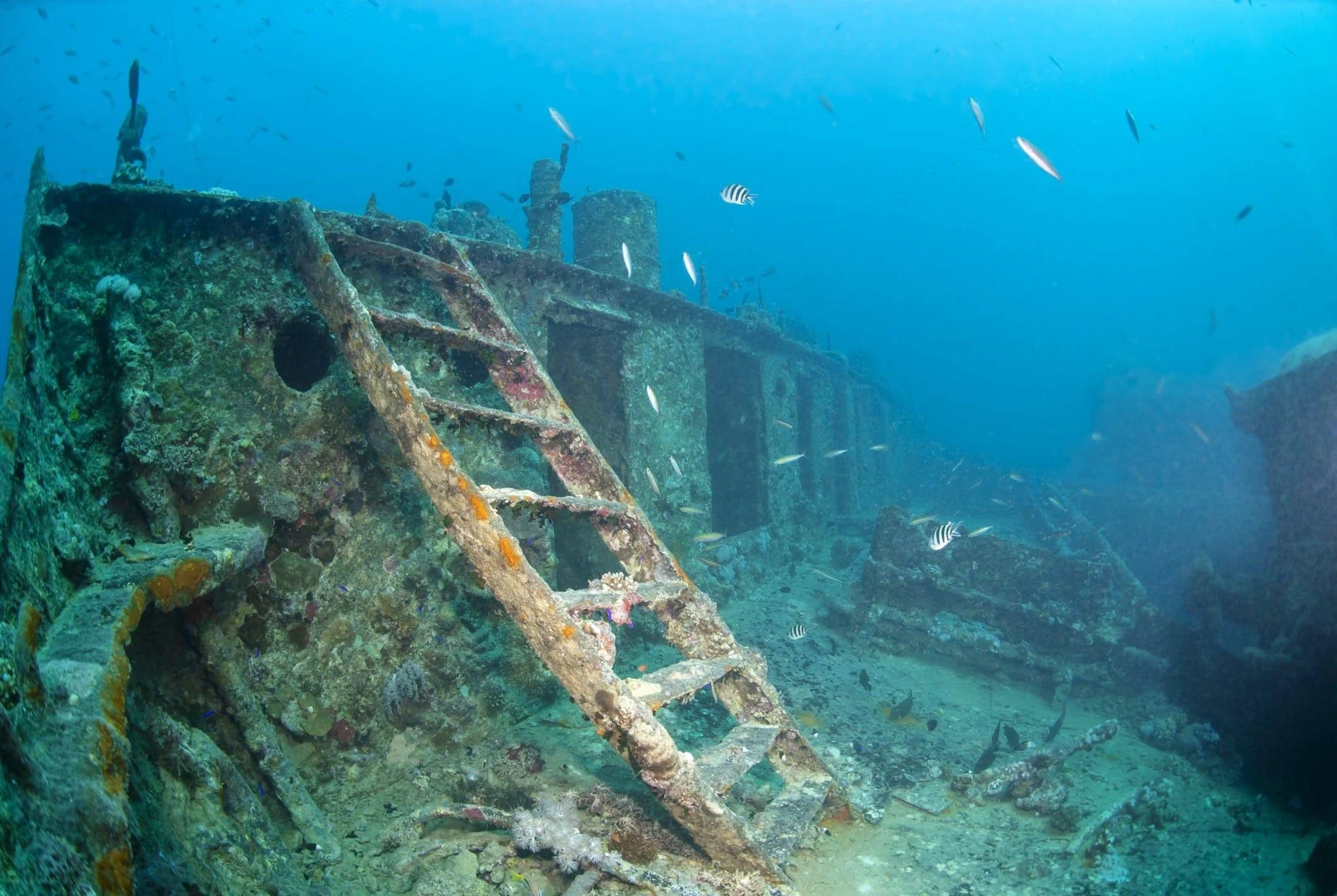 Gem 2 in Great Barrier Reef — GoAtlas