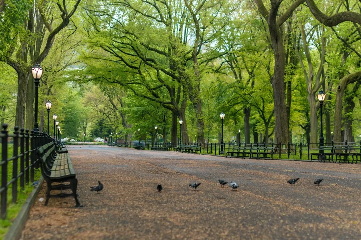 New York City