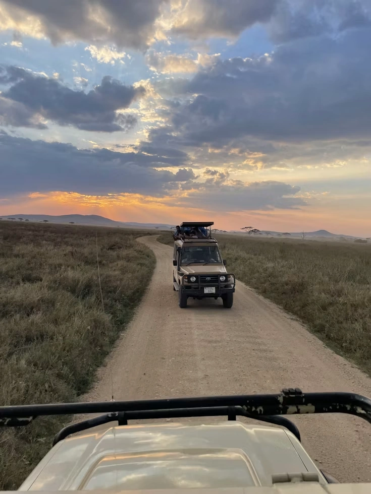 Serengeti Safari