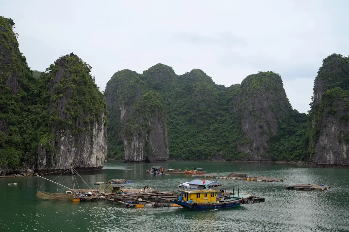 Gem 3 in Ha Long Bay — GoAtlas