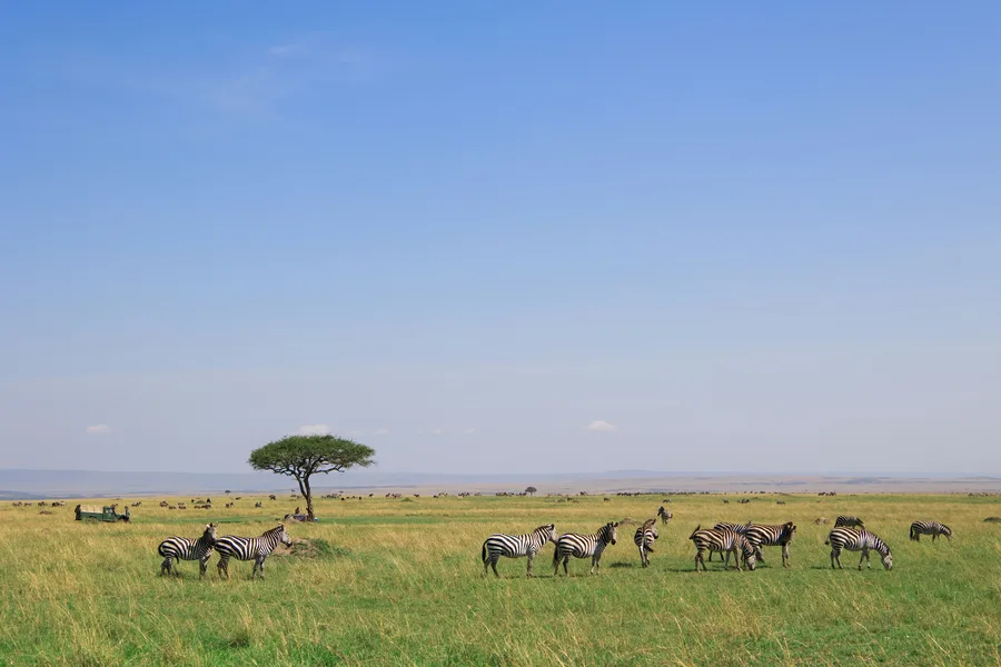 Kenya Amboseli — GoAtlas travel photo