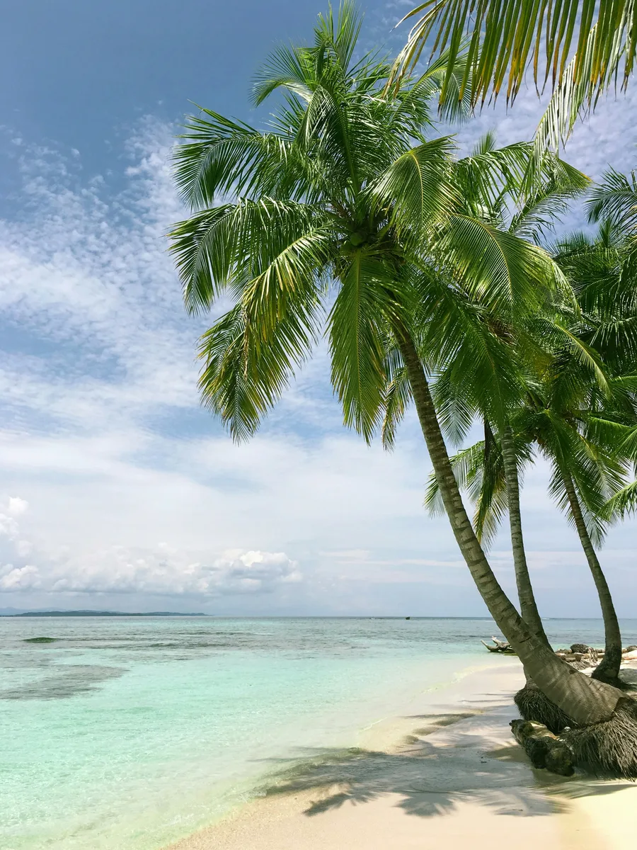 Kenya Diani Beach — GoAtlas travel photo
