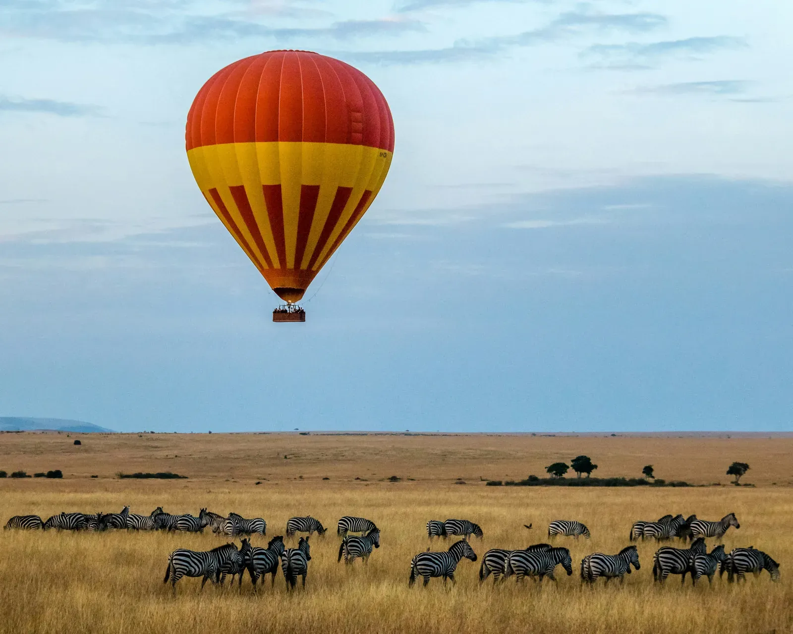 Kenya — GoAtlas travel destination photo