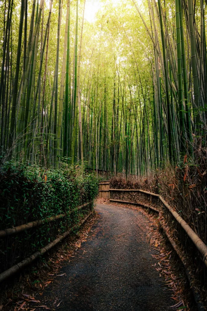 Attraction 3 in Kyoto — GoAtlas