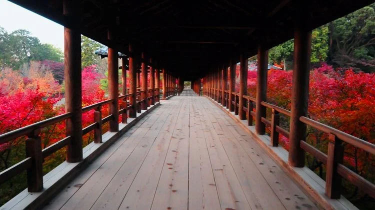 Photo 3 in Kyoto — GoAtlas