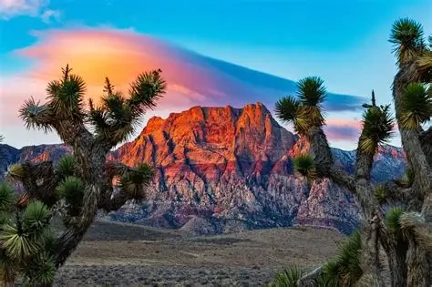 Photo 3 in Las Vegas — GoAtlas
