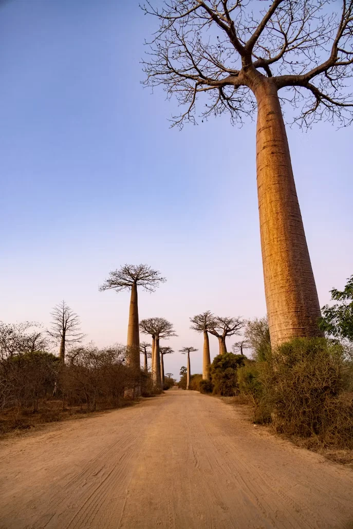 Attraction 1 in Madagascar — GoAtlas