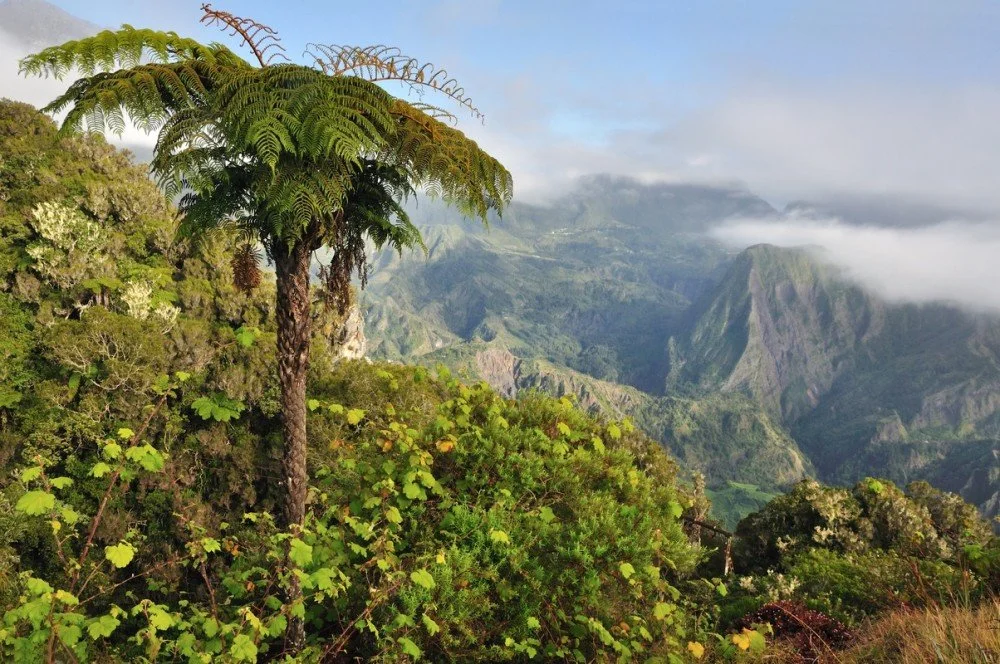 Attraction 2 in Madagascar — GoAtlas