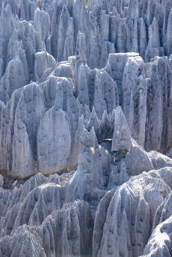 Gem 1 in Madagascar — GoAtlas