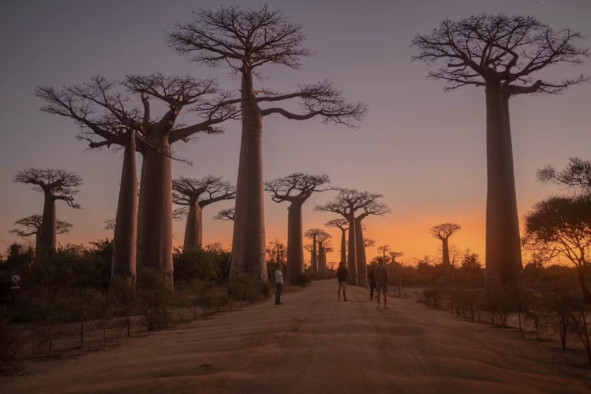 Photo 1 in Madagascar — GoAtlas