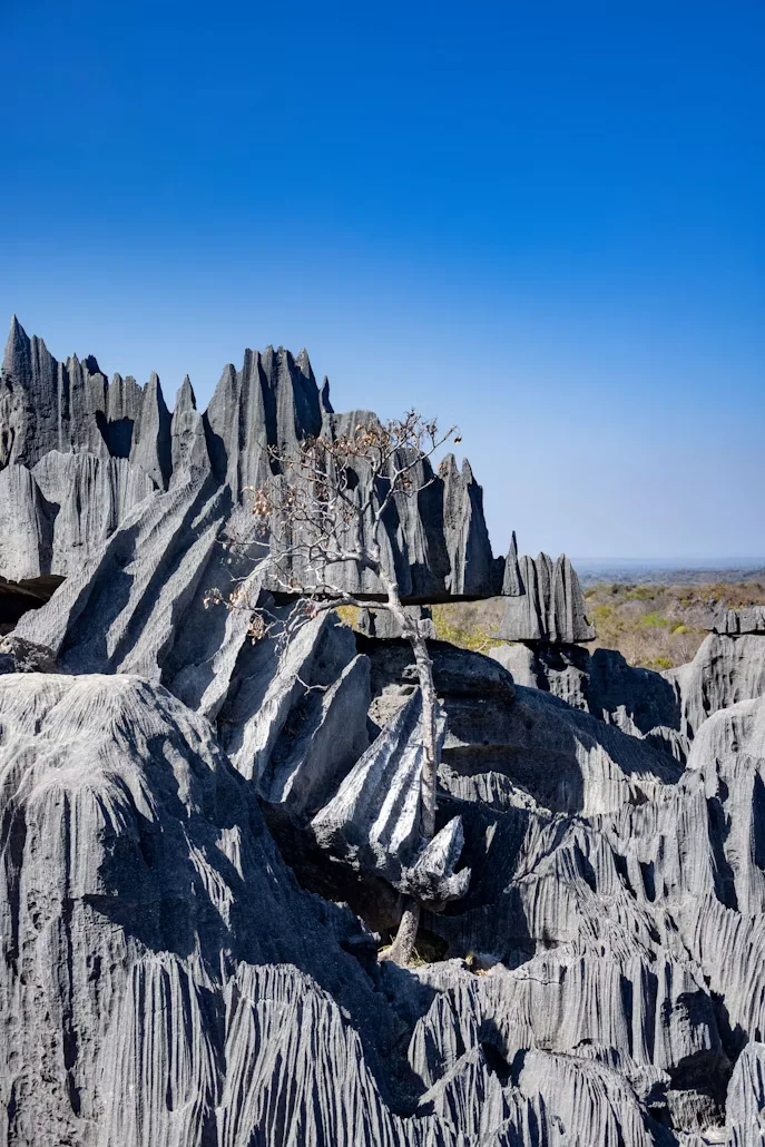 Photo 3 in Madagascar — GoAtlas
