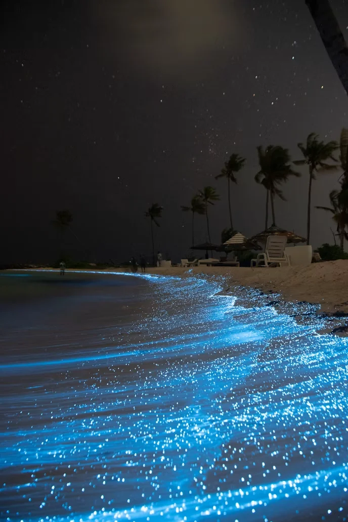 Attraction 3 in Maldives — GoAtlas