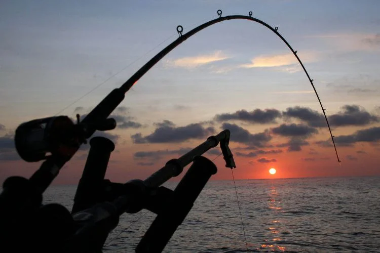 Gem 3 in Maldives — GoAtlas