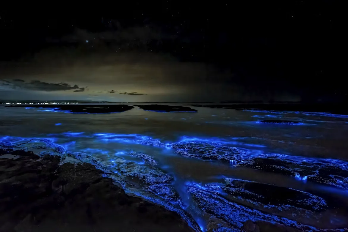 Photo 2 in Maldives — GoAtlas