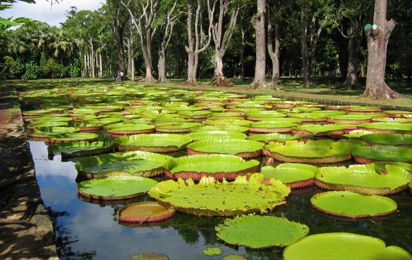 Gem 3 in Mauritius — GoAtlas