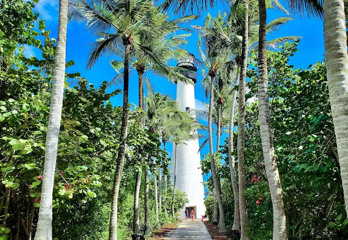 Attraction 3 in Miami — GoAtlas