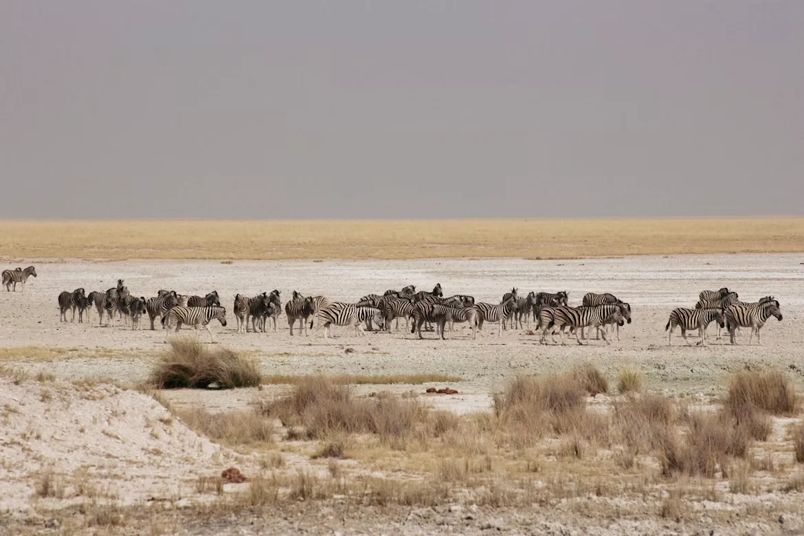 Attraction 2 in Namibia — GoAtlas