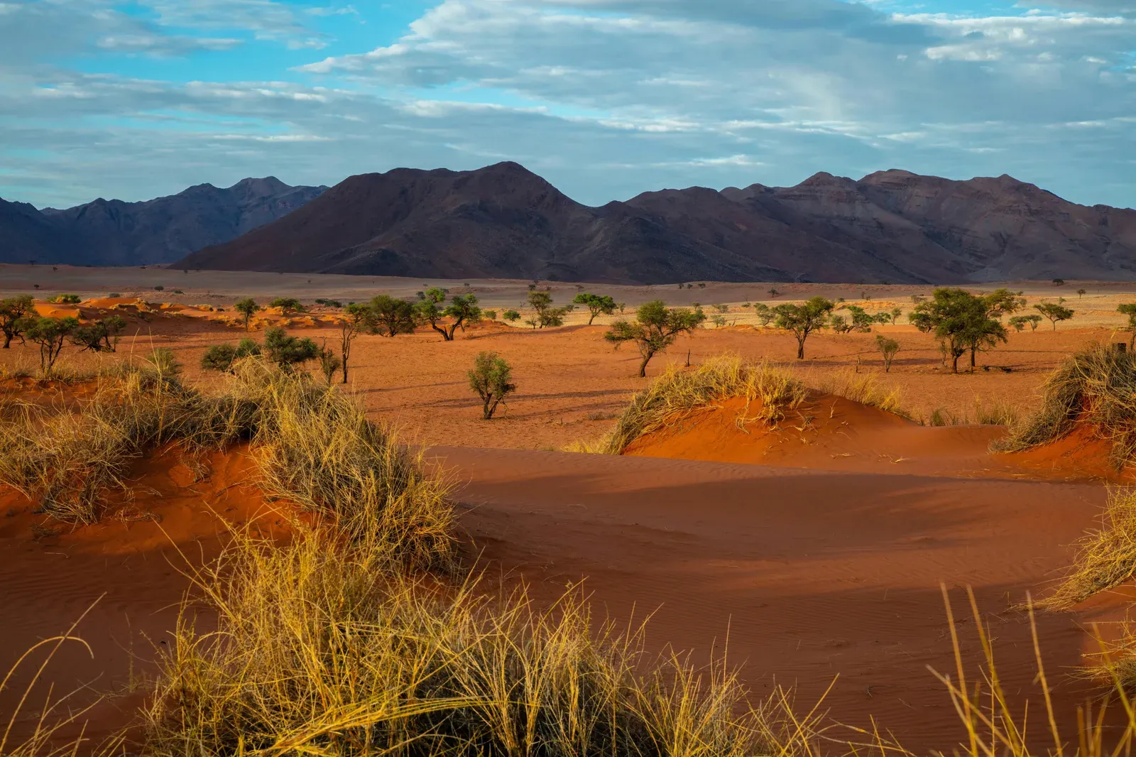 Namibia — GoAtlas travel destination photo