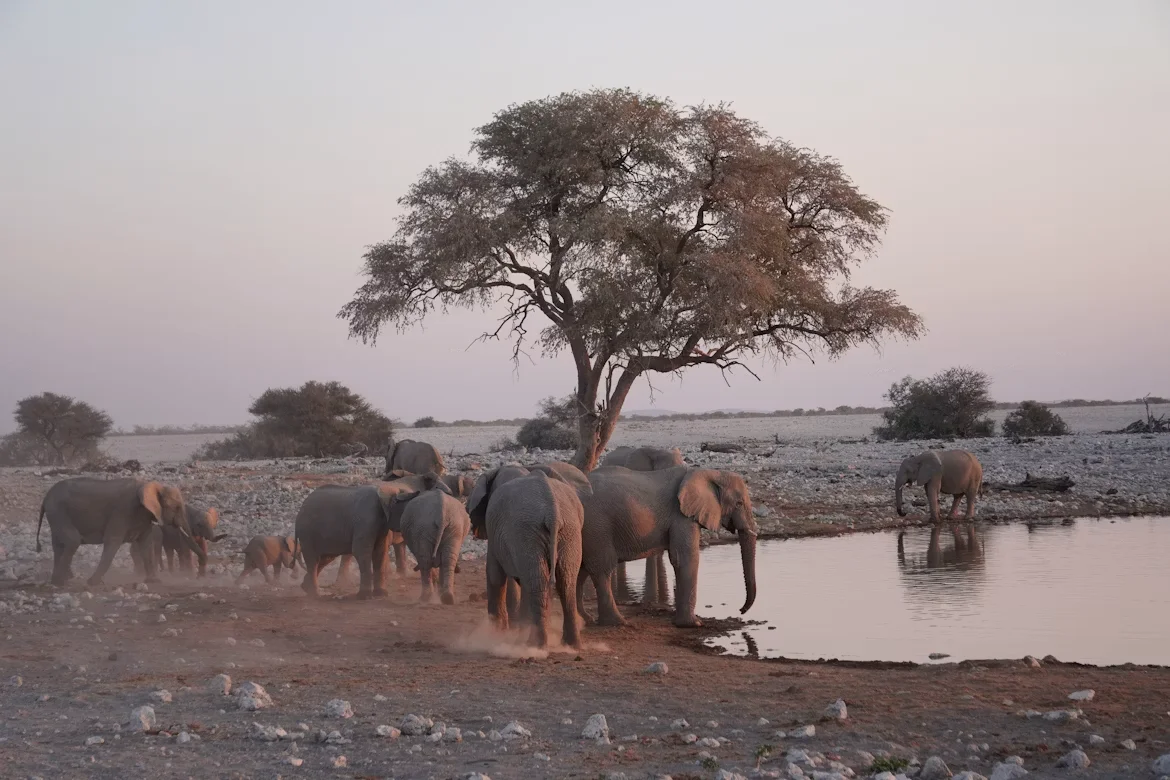 Photo 2 in Namibia — GoAtlas