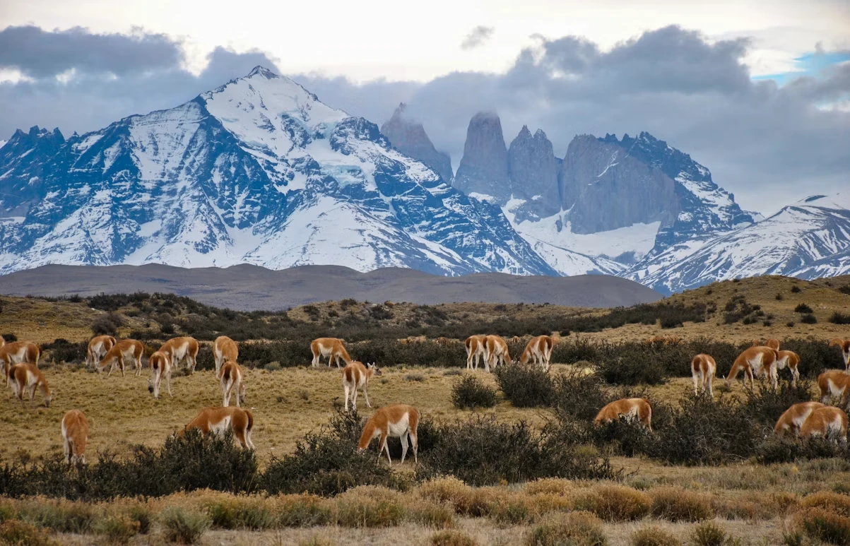 Gem 1 in Patagonia — GoAtlas