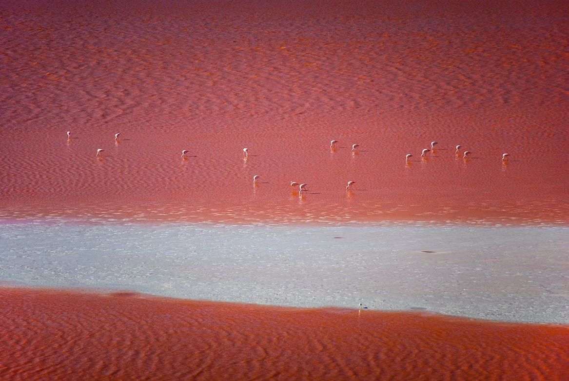 Attraction 2 in Salar De Uyuni — GoAtlas