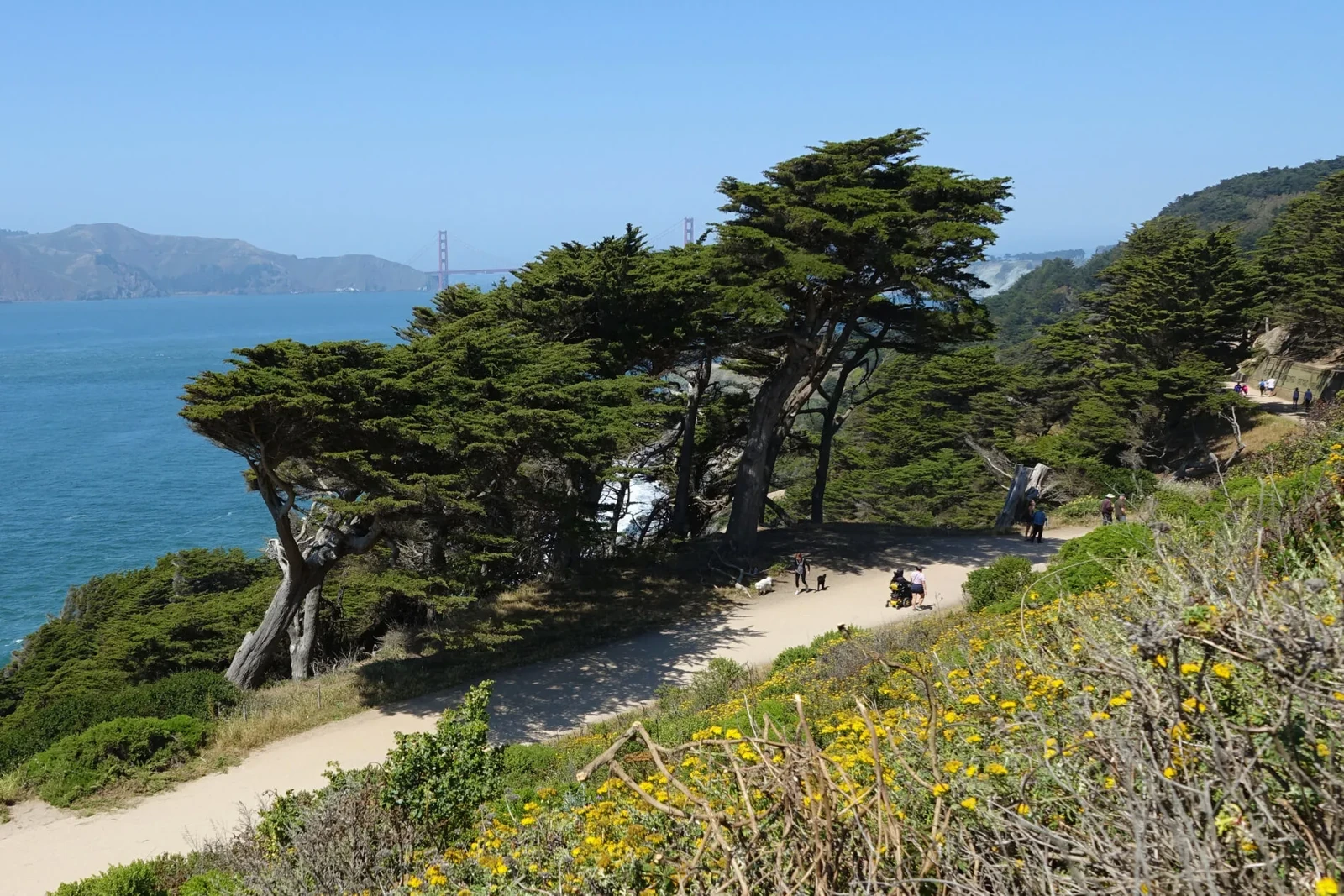 Gem 3 in San Francisco — GoAtlas