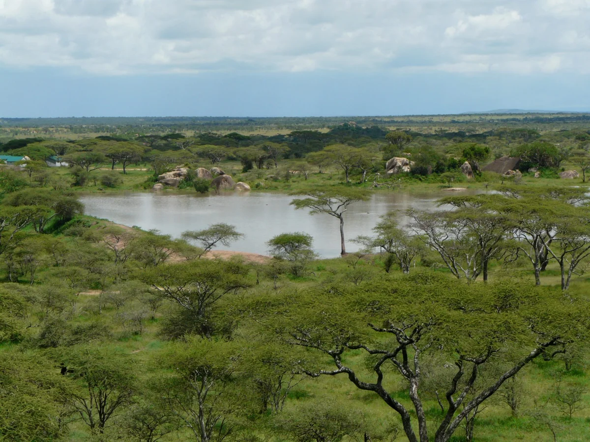 Attraction 3 in Serengeti — GoAtlas