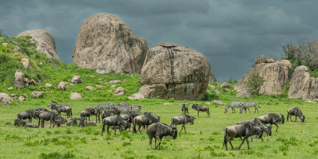 Photo 1 in Serengeti — GoAtlas