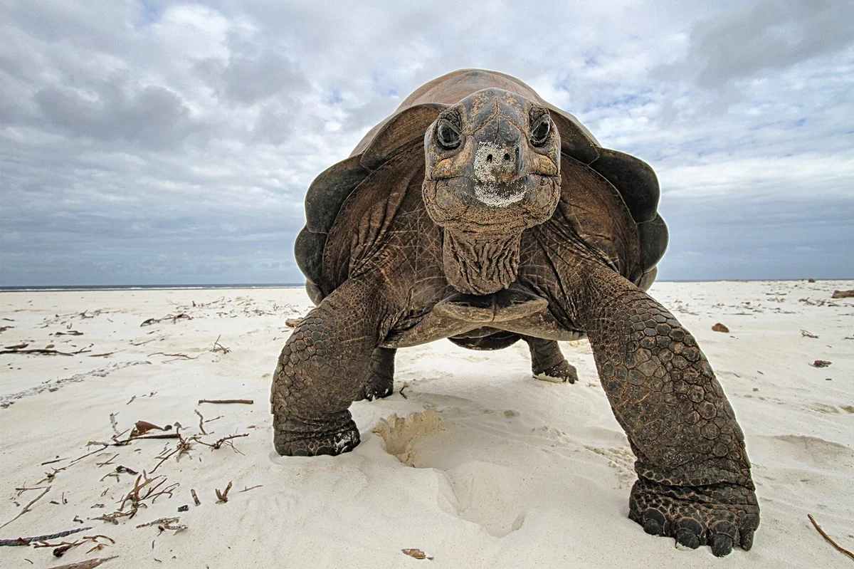 Photo 3 in Seychelles — GoAtlas